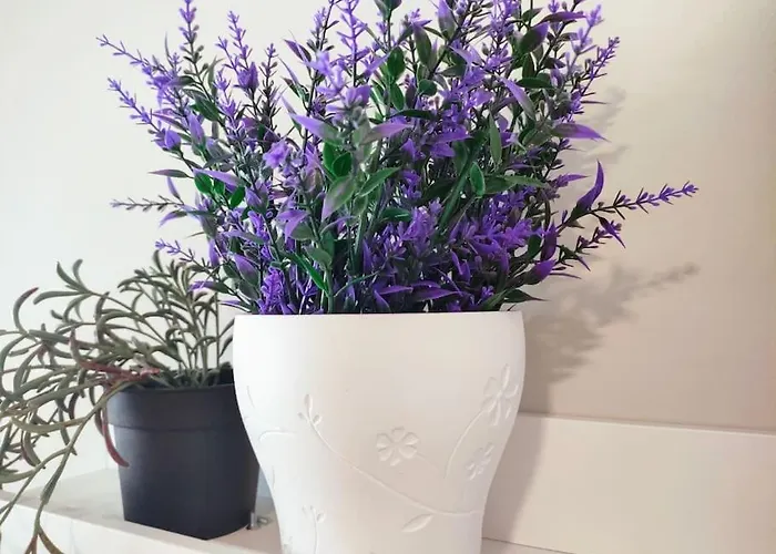 Paraiso Lejlighed Abades (Tenerife)